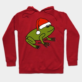 Cute Frog Wearing a Christmas Santa Hat Hoodie